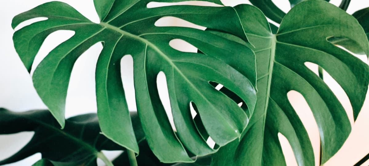 About us header image